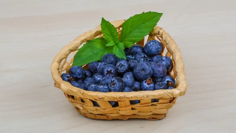 Three Weeks of Blueberries: My Personal Experiment with the Tiny Superfood