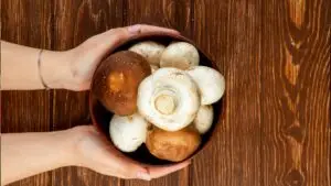 I Ate Mushrooms Every Day for a Month