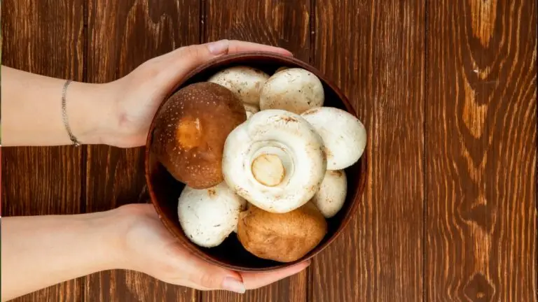 I Ate Mushrooms Every Day for a Month