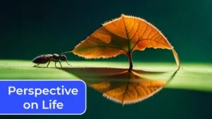 Top 3 Zodiac Signs with a Unique Perspective on Life