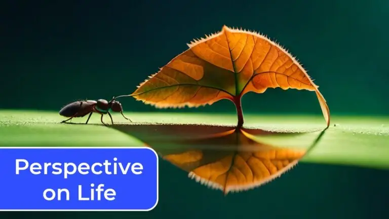 Top 3 Zodiac Signs with a Unique Perspective on Life